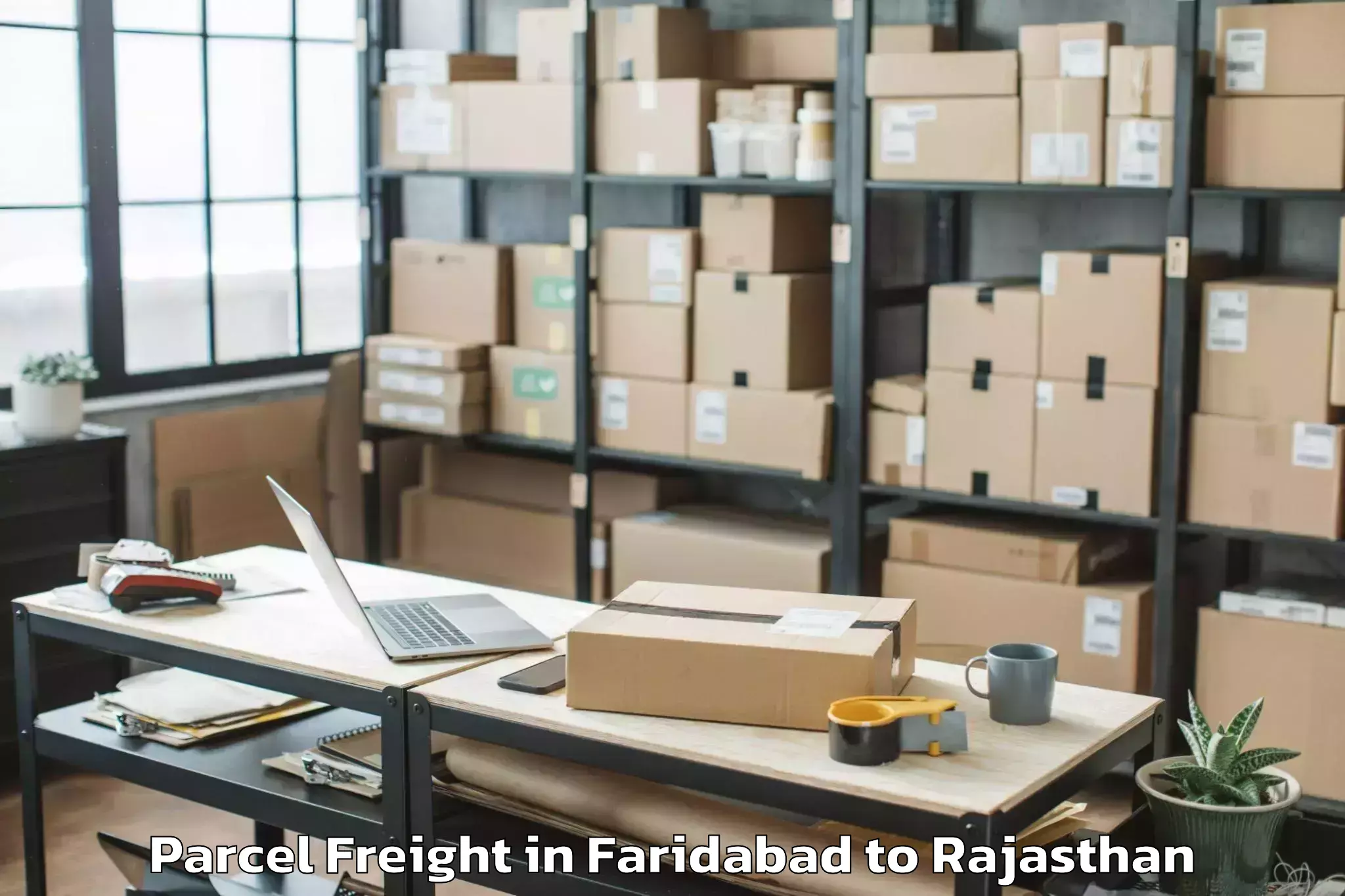 Professional Faridabad to Chittorgarh Parcel Freight